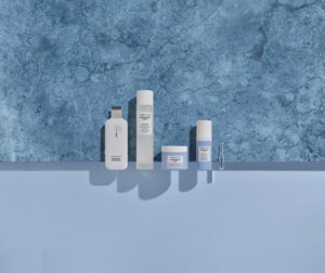 Hydramemory